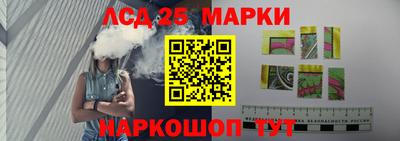 спиды Кингисепп