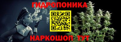 спиды Кингисепп
