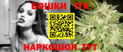 спиды Кингисепп