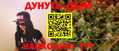 спиды Кингисепп