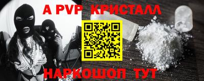 спиды Кингисепп