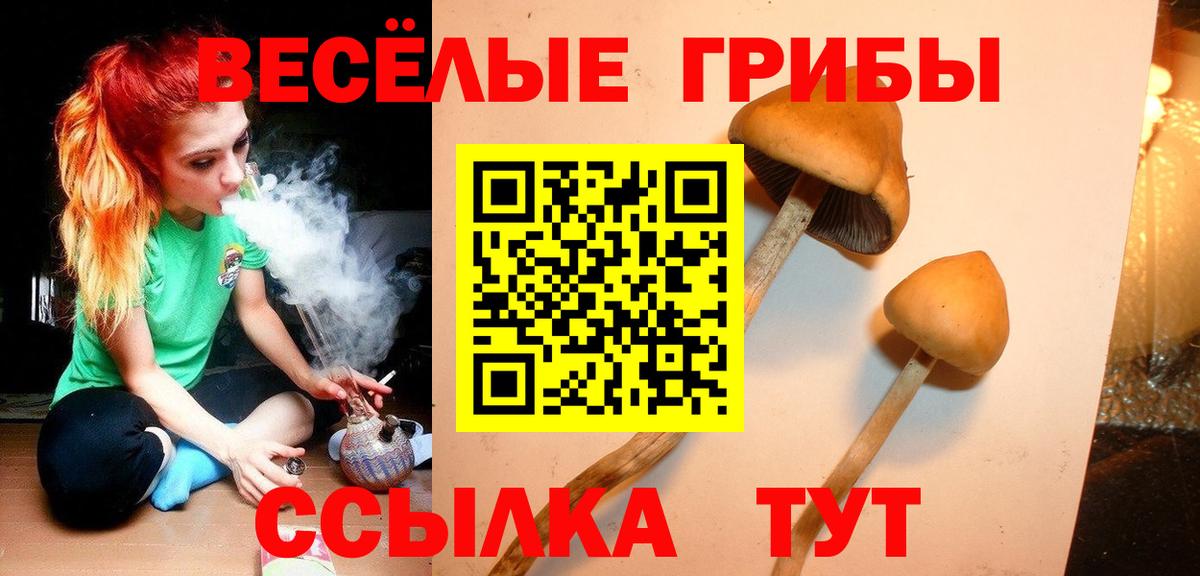 Изобильный  Псилоцибиновые грибы Psilocybine cubensis  купить наркотик  Вход с VPN 