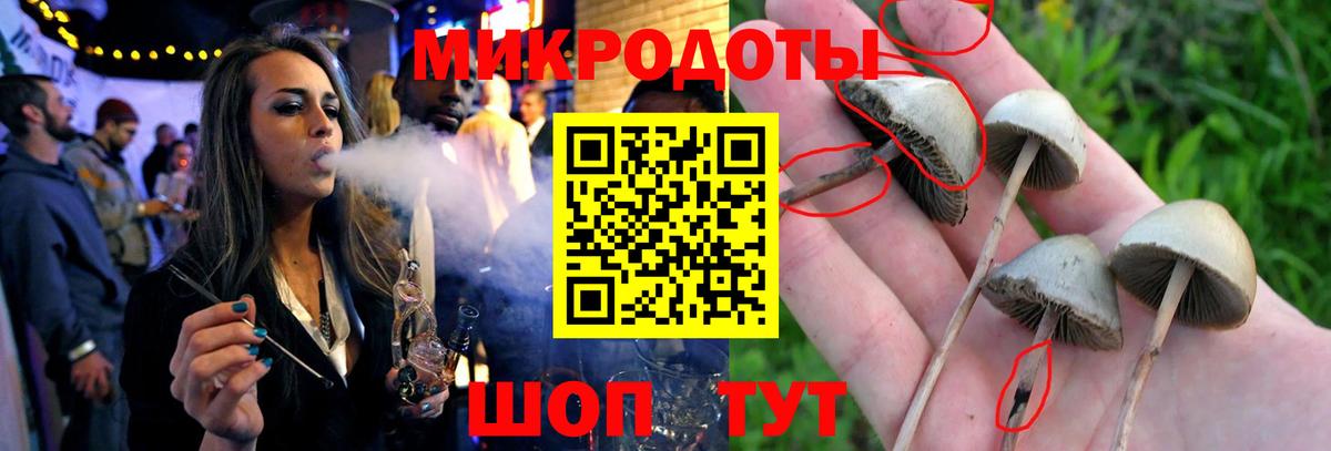 Галлюциногенные грибы Cubensis Изобильный